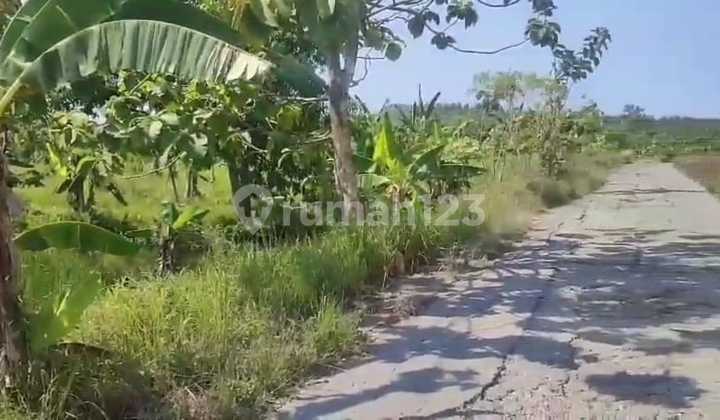 Land for Sale with Freehold Certificate for Housing on Jl. Raya Rowosari, Tembalang Subdistrict, East Semarang 2