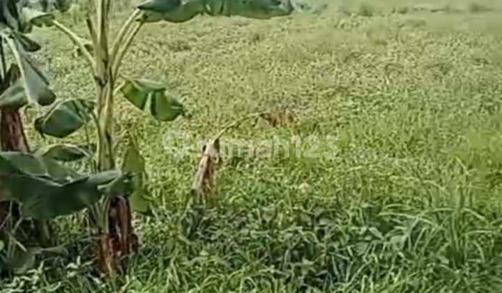 Disewakan Tanah Lokasi Bagus Dekat dengan Pelabuhan Sanur, Pantai Sanur,Rumah Sakit Internasional dan Lapangan Renon Sangat Cocok Dibangun Hunian Pribadi Disewakan Tanah Lokasi Bagus Dekat dengan Pelabuhan Sanur, Pantai Sanur,Rumah Sakit Internasional dan Lapangan Renon Sangat Cocok Dibangun Hunian Pribadi