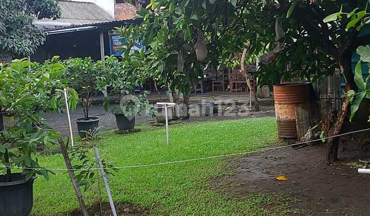 Dijual Tanah Luas 5,6 Are Lokasi Dijln Trengguli Denpasar Timur Cocok Dijadikan Perumahan atau Tempat Tinggal Lingkunga Nyaman