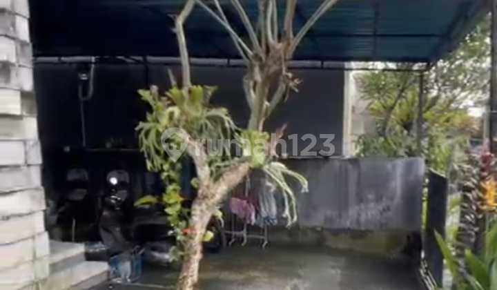 Dijual Cepat & Murah Rumah Minimalis Ditengah Kota Denpasar Berada Dikawasan Noja Kesiman Denpasar ******** Strategis Dekat Polda Bali, Wr Supratman, Gatot Subroto Timur, Living World Mall