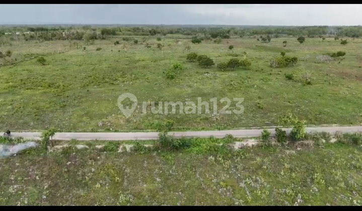 For Sale Premium Land with Beach View Karoso NTT For Sale Premium Land with Beach View Karoso NTT