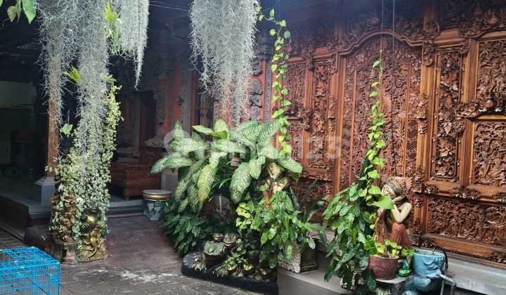 Land for Rent on the East Side of By Pass, Very Strategic, 5 Minutes to Icon Mall, 5 Minutes to the Beach, Near Cafes Land for Rent on the East Side of By Pass, Very Strategic, 5 Minutes to Icon Mall, 5 Minutes to the Beach, Near Cafes