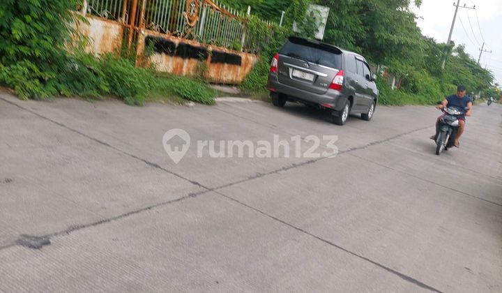 Jual Lahan Kosong+ Tanah Sawah Area Mojoanyar Kab.mojokerto Jual Lahan Kosong+ Tanah Sawah Area Mojoanyar Kab.mojokerto