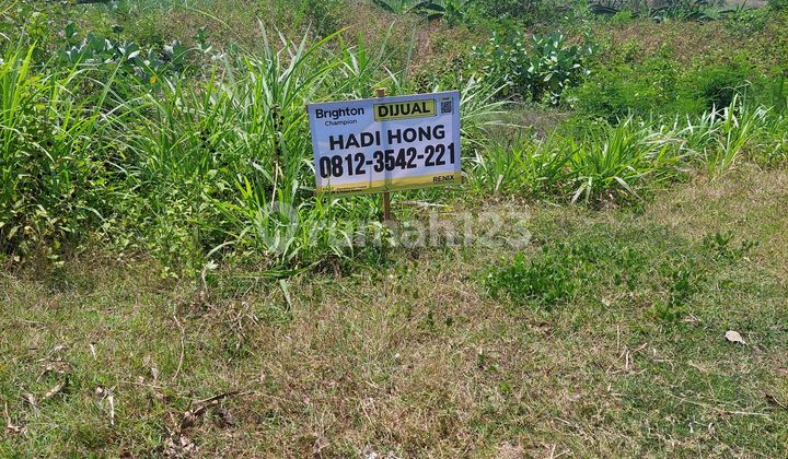 Jual Tanah Bekas Peternakan Ayam Daerah Jombang