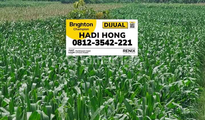 Jual Tanah 9000m2 Di By Pass Mojokerto