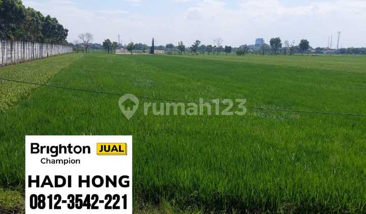 Jual Tanah Di By Pasa Kota Mojokerto Jual Tanah Di By Pasa Kota Mojokerto