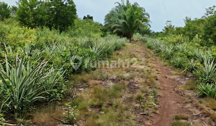 Kavling Strategis di Pekanbaru 30 Menit dari Bandara 