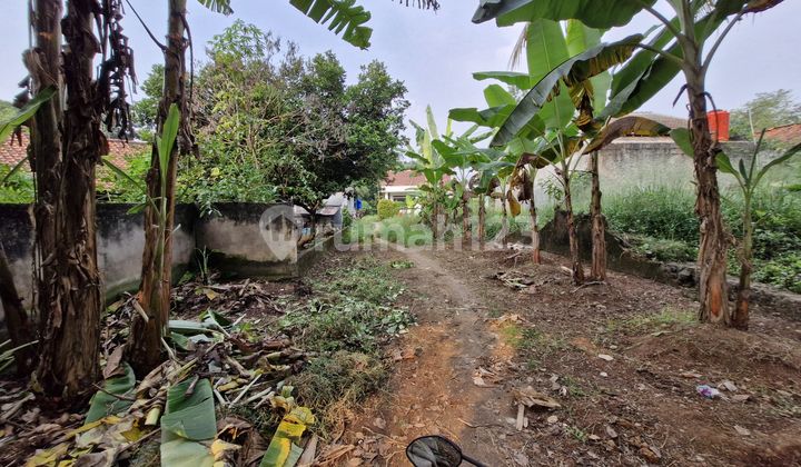 Tanah Murah! Gunung Sindur SHM 1,25M Nego Tanah Murah! Gunung Sindur SHM 1,25M Nego