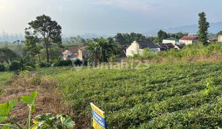 Jual Tanah Kosong Daerah Sayap Jagabaya. Mainroad Banjaran- Pangalengan Jual Tanah Kosong Daerah Sayap Jagabaya. Mainroad Banjaran- Pangalengan