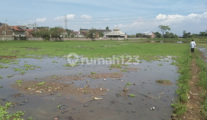 Jual Tanah, Sawah Dan Kebun Mairnoad Majalaya- Cicalengka Jawa Barat Jual Tanah, Sawah Dan Kebun Mairnoad Majalaya- Cicalengka Jawa Barat