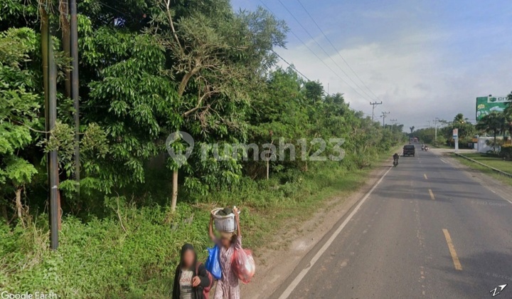 Land 7273 M2 with SHM in South Kalimantan, Potential for Housing/Factory/Industry/Business