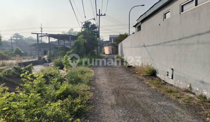 Jual Tanah Murah 367 M2 SHM di Mojosari Harga Nego