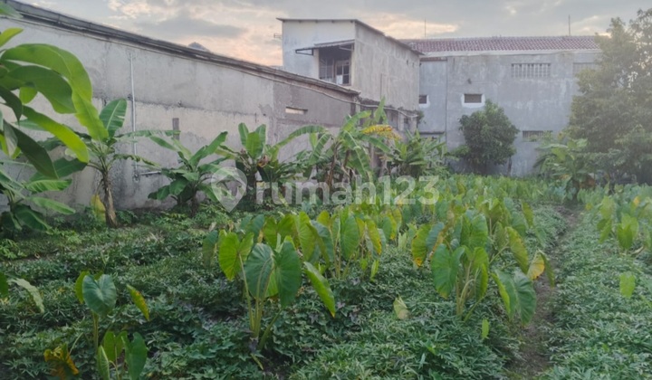 Sell Land Ready to Build 428 M2 Area in Ciomas Bogor Sell Land Ready to Build 428 M2 Area in Ciomas Bogor