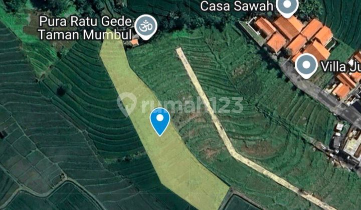 Freehold Land For Sale (2450 M2) Cemanggi -munggu Freehold Land For Sale (2450 M2) Cemanggi -munggu