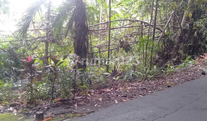 Jual Tanah Abiansemal (8,25 Are )