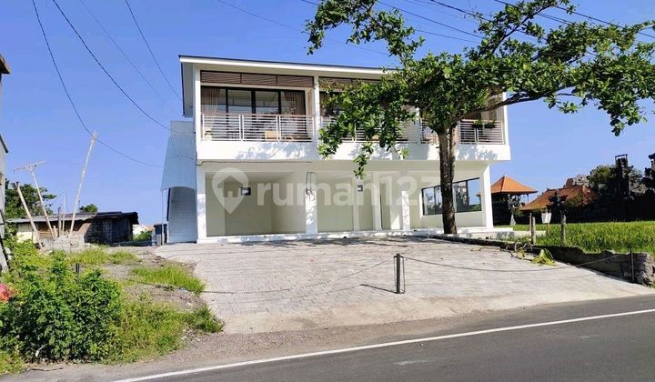 2 Unit Ruko Disewakan (8,8x10 M) Seseh 2 Unit Ruko Disewakan (8,8x10 M) Seseh