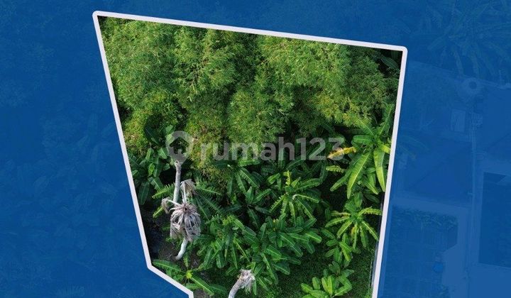 Land For Sale 1.9 Are Pererenan Rp.2,185,000,000