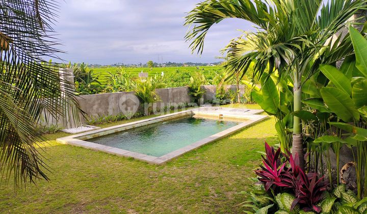 2 Units of 2 Bedroom Villa with View of Rice Fields in Munggu 2 Units of 2 Bedroom Villa with View of Rice Fields in Munggu