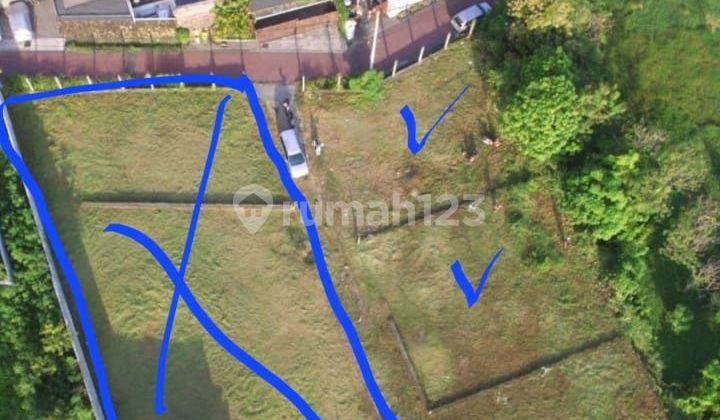 Tanah Dijual 6 Are Brawa Canggu