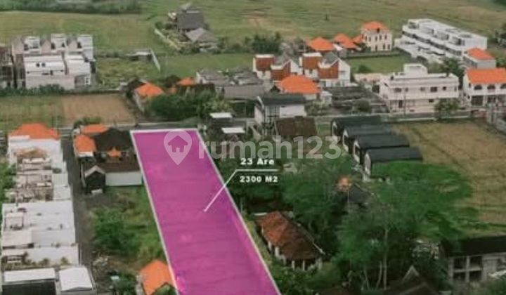 Land for Lease - 2,350 sqm - Pink Zone Cemagi