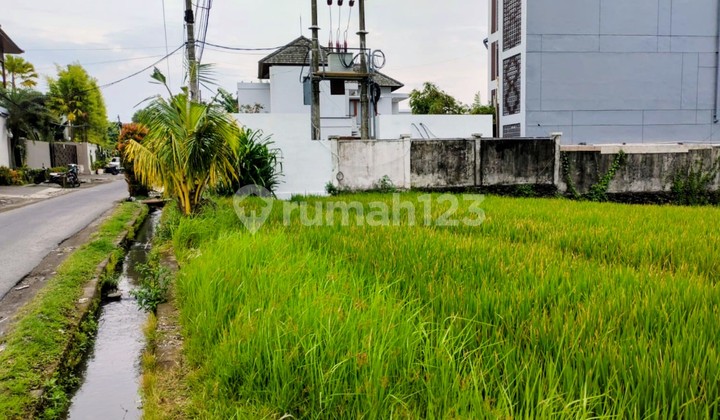 Land 10 Are -Zone Orange - Buduk -Pererenan