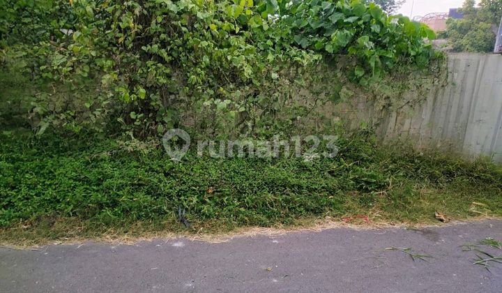 Land For Sale Pererenan 887 M2