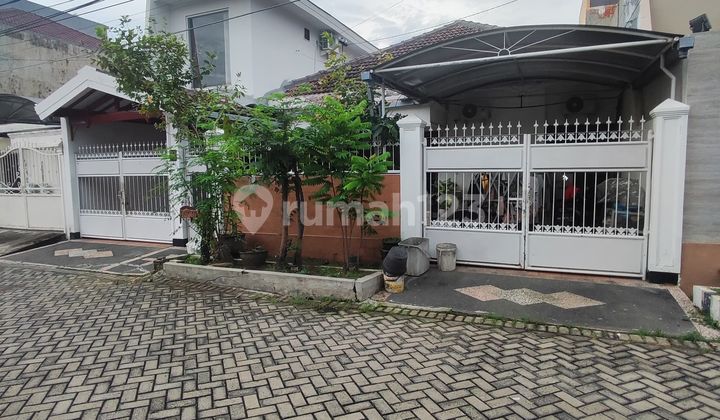Dijual Rumah Kertajaya Indah Murah Siap Huni Dijual Rumah Kertajaya Indah Murah Siap Huni