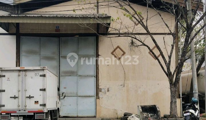 Gudang Mutiara Margomulyo Murahh , Kalianak