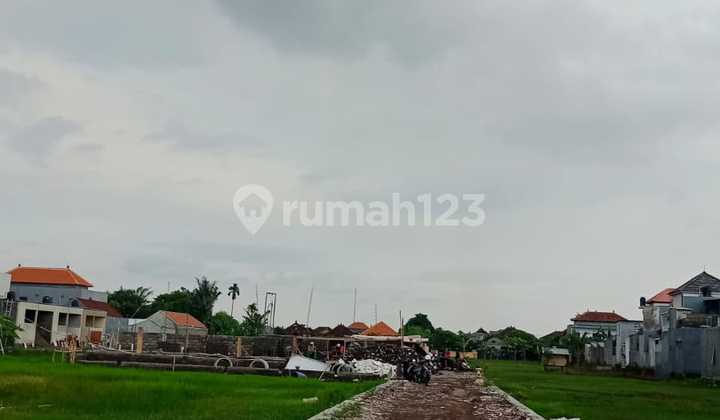 Land for Rent Location in Singkep Island, Denpasar Land for Rent Location in Singkep Island, Denpasar