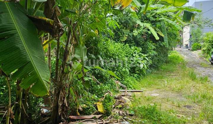 Land for Sale with River View, Umalas Kerobokan Location