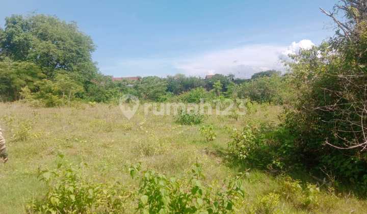 Dijual Tanah Lokasi Bukit Jimbaran Harga 280 Juta