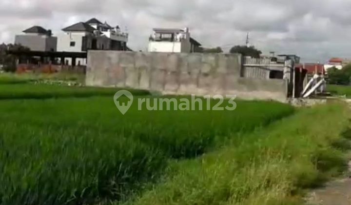 Disewakan Tanah 22 Are Lokasi Pure Demak