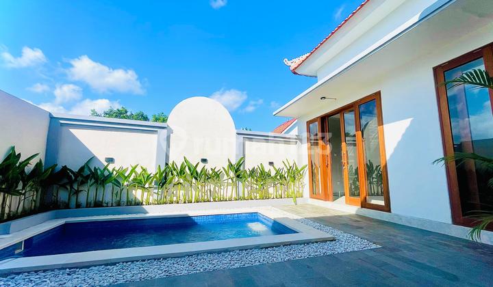Disewakan Villa Lokasi Canggu Berawa Harga 150 Juta Nego Disewakan Villa Lokasi Canggu Berawa Harga 150 Juta Nego