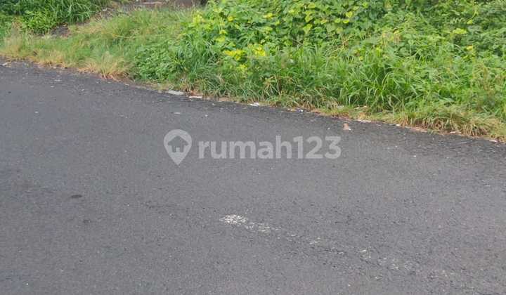 Land for Sale on Himalaya Street, Denpasar Land for Sale on Himalaya Street, Denpasar