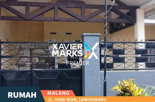 MF - Disewakan Rumah Siap Huni Di Daerah Ikan-Ikan Dekat Suhat 1