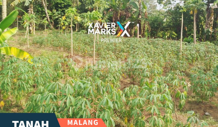 Land for Sale in Pakisaji, 300 Meters from the Main Road