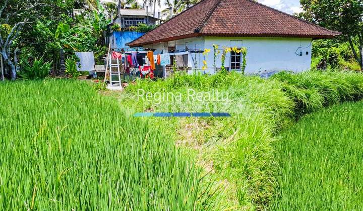 Dijual Bangunan dan Tanah, Ubud Bali Dijual Bangunan dan Tanah, Ubud Bali