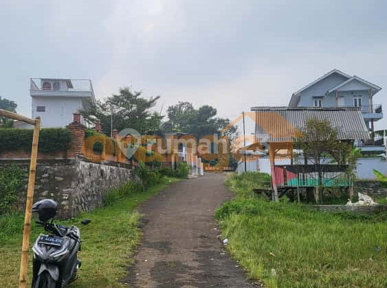 Di Jual Kavling Luas 3.939 di Daerah Megamendung Bogor Jawa Barat