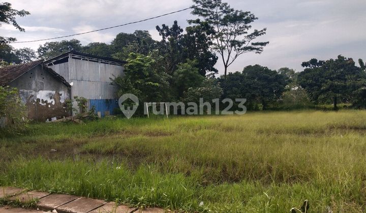 Land for Sale Super Cheap