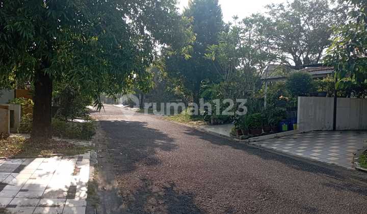 Luxurious and Beautiful House 2