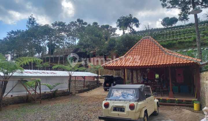 Dijual Villa Siap Pakai Di Lembang Bandung