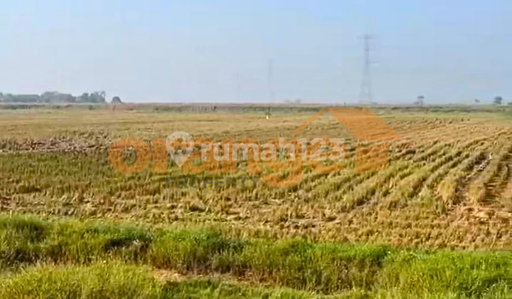 Land for Sale in a Strategic Location Suitable for a Factory in Cikarang Bekasi