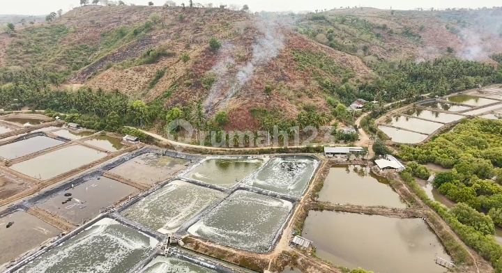 Selling Land 13.000M² At Teluk Awang, Lombok Tengah, Ntb Selling Land 13.000M² At Teluk Awang, Lombok Tengah, Ntb