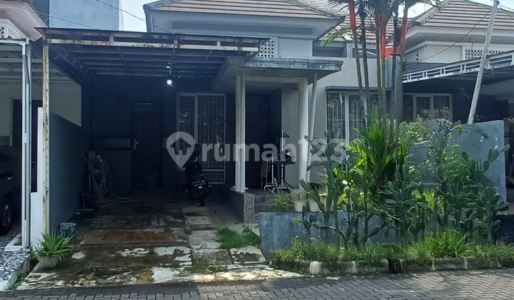 Rumah Bebas Banjir Bogor 3 Menit Pintu Tol Rumah Bebas Banjir Bogor 3 Menit Pintu Tol