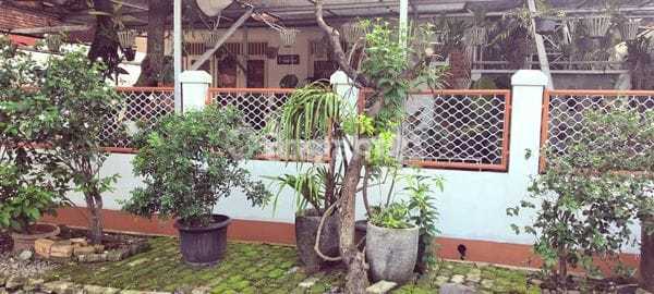 Rumah Asri Komplek Timah Cilandak Jakarta Selatan