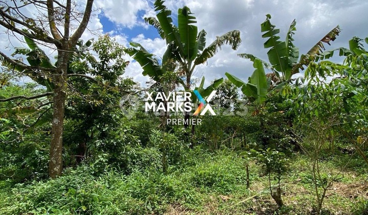 Jual Tanah Cepat Toyomarto Singosari