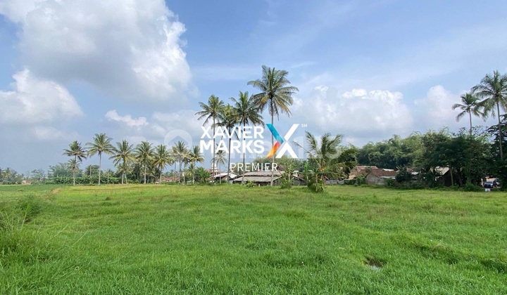 Jual Cepat Tanah Sawah Jabung Malang Jual Cepat Tanah Sawah Jabung Malang