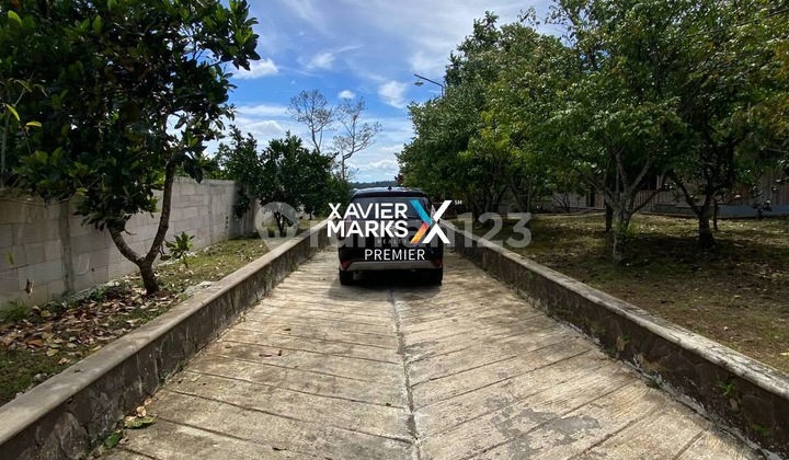 Selling Land and Orange Orchard in Dau with Bonus House