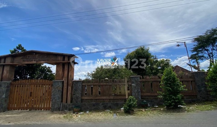 Selling Land and Orange Orchard in Dau with Bonus House