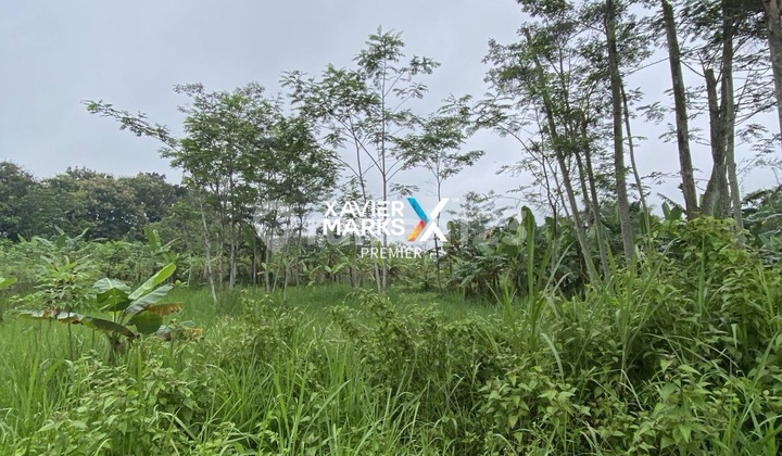 Jual Tanah Murah Kavling Harga Nego Keras Jual Tanah Murah Kavling Harga Nego Keras